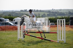 Ashwater-showjumping-381