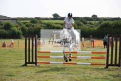 Ashwater-showjumping-389