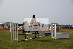 Ashwater-showjumping-404