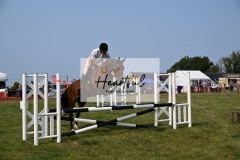 Ashwater-showjumping-409