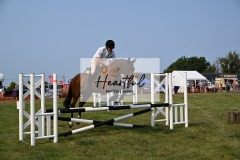 Ashwater-showjumping-411