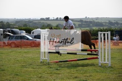 Ashwater-showjumping-415