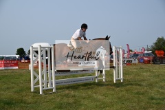 Ashwater-showjumping-419