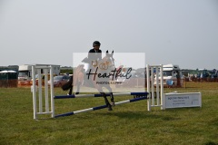 Ashwater-showjumping-427