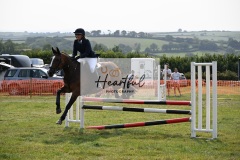 Ashwater-showjumping-442