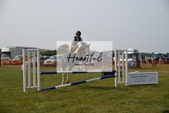 Ashwater-showjumping-452