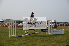Ashwater-showjumping-453
