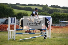 Ashwater-showjumping-458