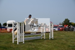 Ashwater-showjumping-469