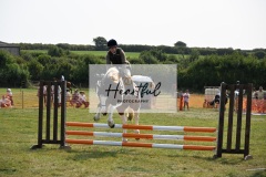 Ashwater-showjumping-47