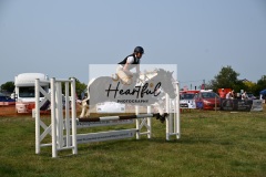 Ashwater-showjumping-473