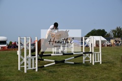 Ashwater-showjumping-487