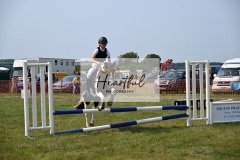 Ashwater-showjumping-49