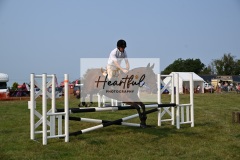 Ashwater-showjumping-490