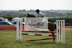 Ashwater-showjumping-491