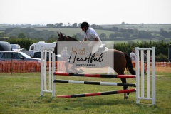 Ashwater-showjumping-492