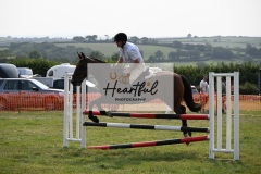Ashwater-showjumping-493
