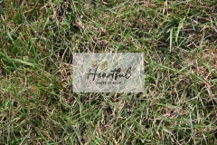 Ashwater-showjumping-88