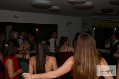 watermark-190