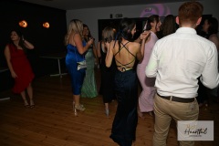watermark-233