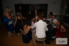 watermark-234