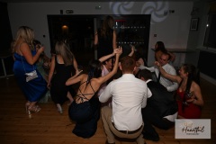 watermark-235