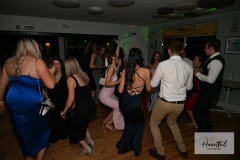 watermark-236