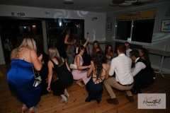watermark-237