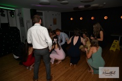 watermark-244