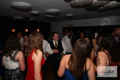 watermark-288