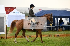 Holsworthy-Main-Ring-003