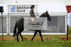 Holsworthy-Main-Ring-004