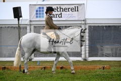 Holsworthy-Main-Ring-006