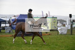 Holsworthy-Main-Ring-008