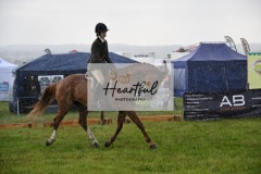 Holsworthy-Main-Ring-009