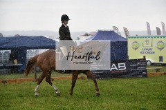 Holsworthy-Main-Ring-010