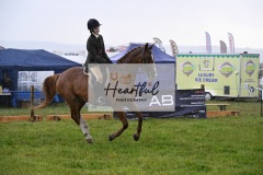 Holsworthy-Main-Ring-014