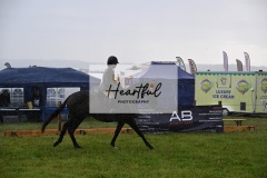 Holsworthy-Main-Ring-016