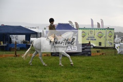 Holsworthy-Main-Ring-018