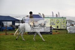 Holsworthy-Main-Ring-019