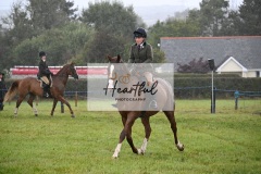 Holsworthy-Main-Ring-021