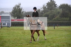 Holsworthy-Main-Ring-022