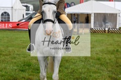 Holsworthy-Main-Ring-024