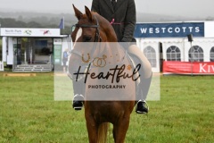 Holsworthy-Main-Ring-025