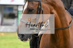 Holsworthy-Main-Ring-026