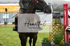 Holsworthy-Main-Ring-027