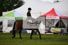 Holsworthy-Main-Ring-028