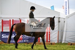 Holsworthy-Main-Ring-031