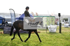 Holsworthy-Main-Ring-032