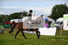 Holsworthy-Main-Ring-033